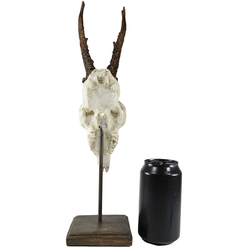 Animals Bust