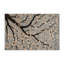 Tapis d'intérieur et d'extérieur gris Botanical-1108766844