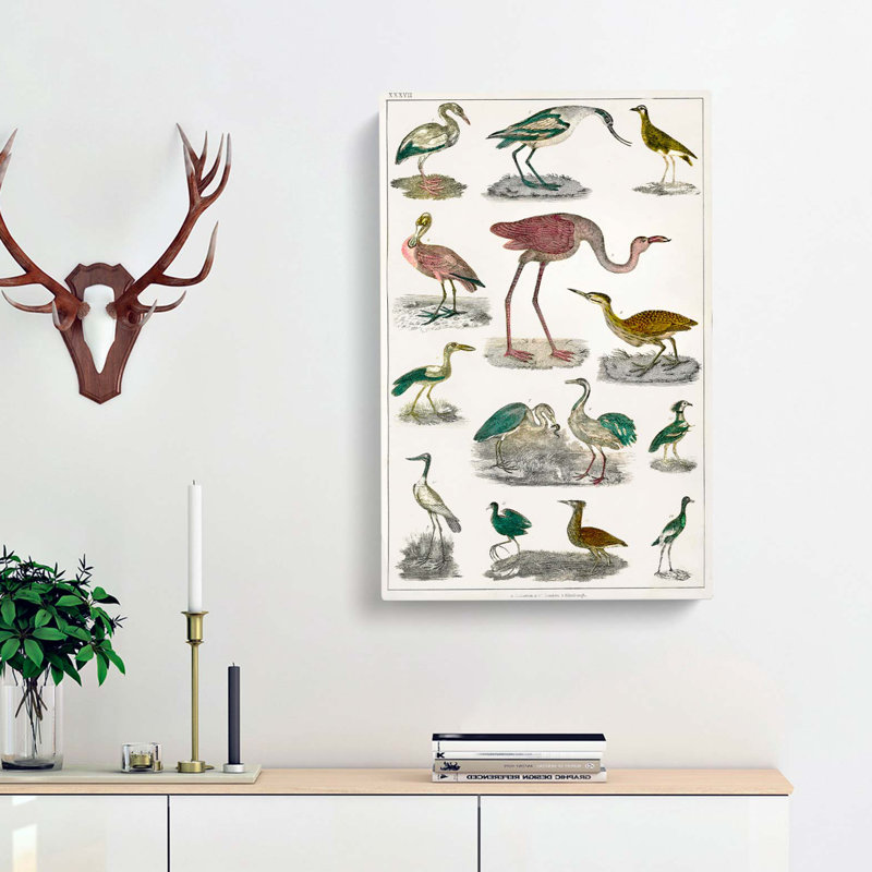 Flightless Birds XXXVII by Oliver Goldsmith - Wrapped Canvas Painting, 76cm H x 50cm W x 3cm D