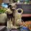 Bronze Double Cats Sculpture