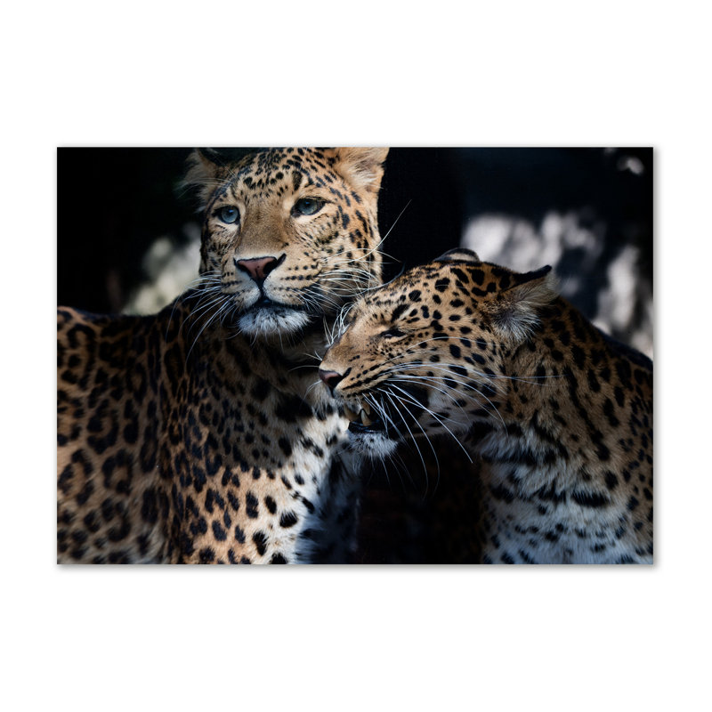 Two Leopards - Wrapped Canvas Print