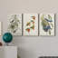 Pl 42 verger oriole - ensemble de 3 toiles tendues-1906159775