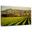 Alvord Blenheim Vineyard-106801513