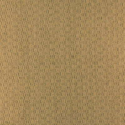 Brails Fabric