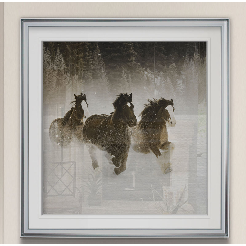 «Winter Roundup II», photographie, H 24 po x l 24 po x 1,5 po, Encadrement argenté