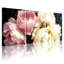 Pivoine roses et blanches sur fond noir, ensemble de 3 impressions sur toile-2062384277