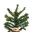 5' H Lighted Artificial Pine Christmas Tree