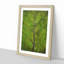 Leaf Lines - Framed Print-56852665-56852666