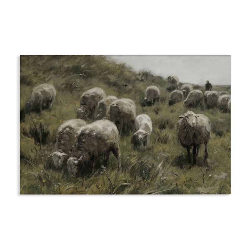 "Sheep at Pasture", art mural sur toile par RileyB, H 30 po x l 45 po