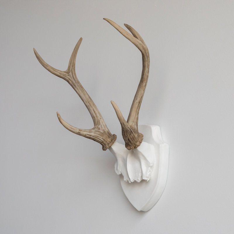 Handmade Coastal Animals Resin Wall Decor, White/Natural