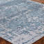 Oriental Area Rug in Blue/Ivory-147672772