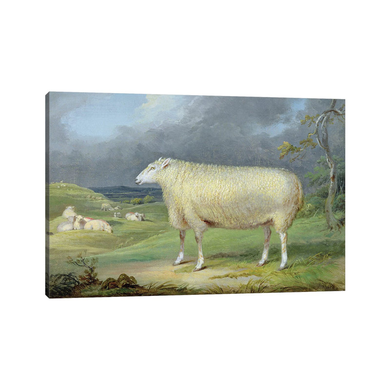 A Border Leicester Ewe by James Ward - Wrapped Canvas Painting, 66.04 cm H x 45.72 cm W x 1.91 cm D