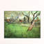 Vincent Van Gogh - Wrapped Canvas Painting-21211013