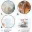 Farmhouse Animals Wall Decor on Metal