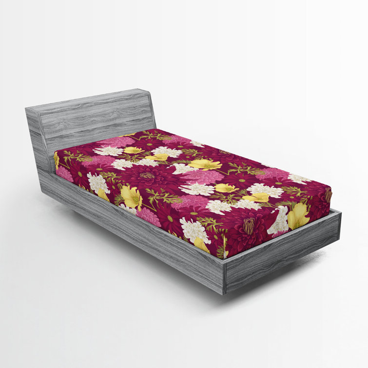 Drap-housse Ambesonne