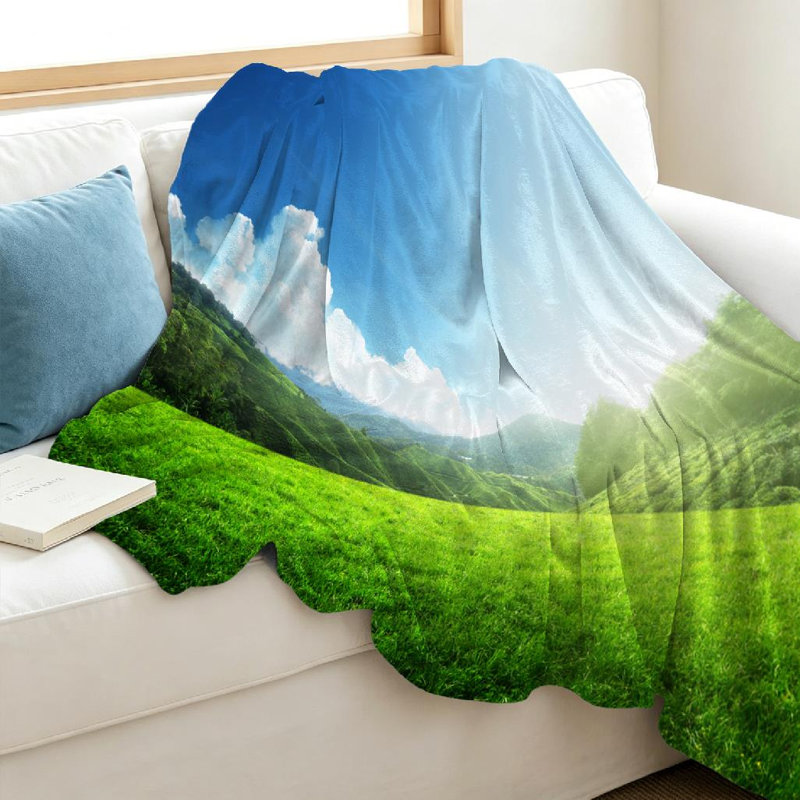 Jeté en molleton transparent ultra doux en flanelle, champ d'herbe printanière et imprimé recto, Jeté 40 po x 50 po