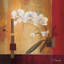 « orchidée lines ii », reproduction d’art sur toile-20887218