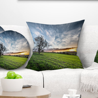 Coussin Schafer