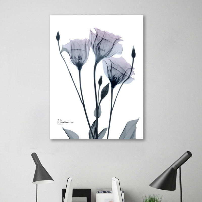 Midnight Gentian I - Wrapped Canvas Print, 46cm H x 46cm W