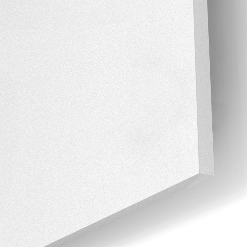 Brayden Studio® 'Close Up V' By Incado, Acrylic Glass Wall Art, 12"X16", H 24 po x l 16 po x P 0,2 po