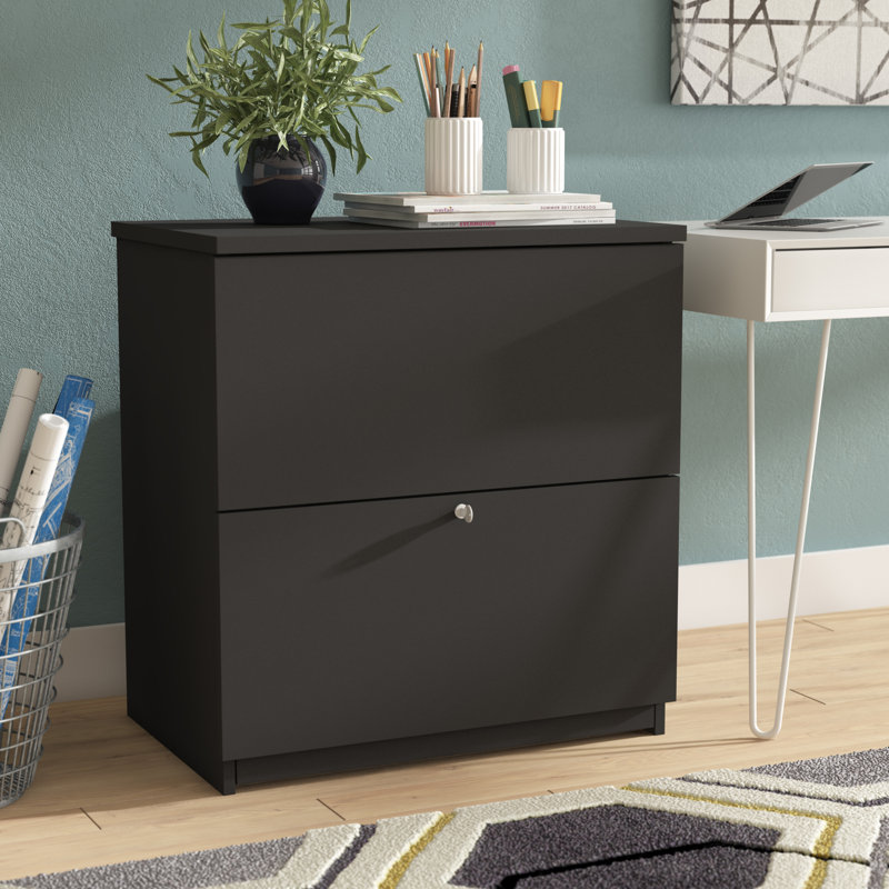 Pasiak 28.4'' Wide 2 -Drawer File Cabinet, Black