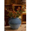 Vase en céramique rustique avec 2 poignées-374973255