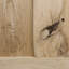 Foresta Solid Barn Door Prefinished-755087961-766199343