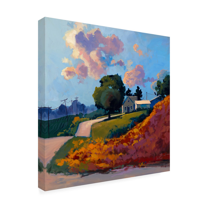 Art sur toile, «bolo sri rao», H 14 po x l 14 po