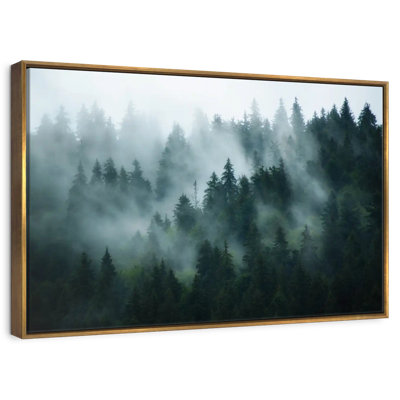 Forêt de sapins brumeux