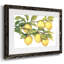 Ripe for Cueillette II - impression d'un seul cadre photo-1941780178-1941780189
