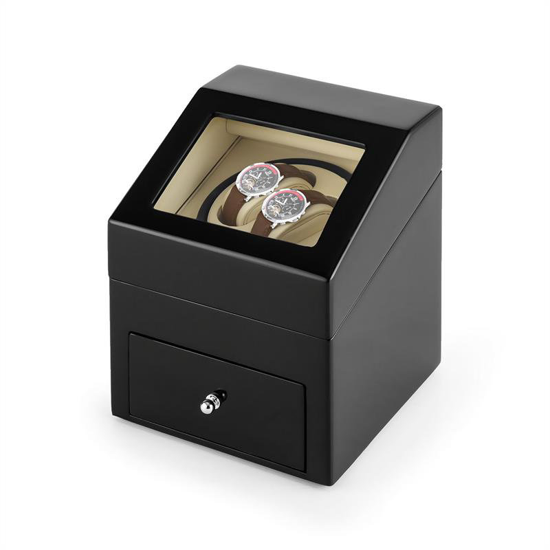 Watch Box +