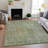 Premium Machine Washable Kelton AMF1237 Modern Rug-1903513758