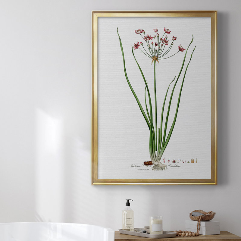 Toile encadrée de qualité supérieure Rose Botanical II - prête à être accrochée, Or, H 42,5 po x l 30,5 po