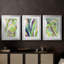 «Bright Tropical Abstraction IV», reproduction sur mesure encadrée de qualité supérieure, mat, 3 pièces-306636643-306636645
