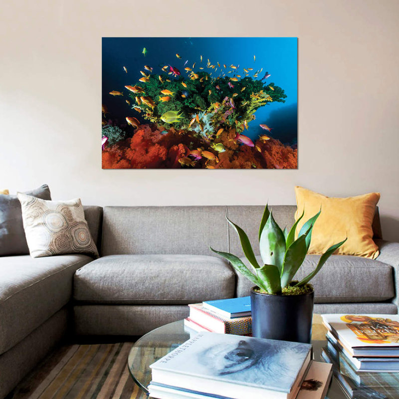 «Reef Scene with Anthias Fish, Cebu, Philippines», impression sur toile, H 18 po x l 26 po x P 1,5 po, Toile tendue