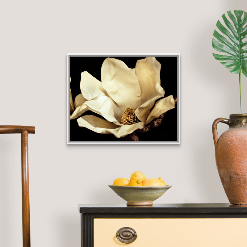 «Buttercream Magnolia I», art mural sur toile, H 20 po x l 16 po x P 1,75 po, Cadre blanc