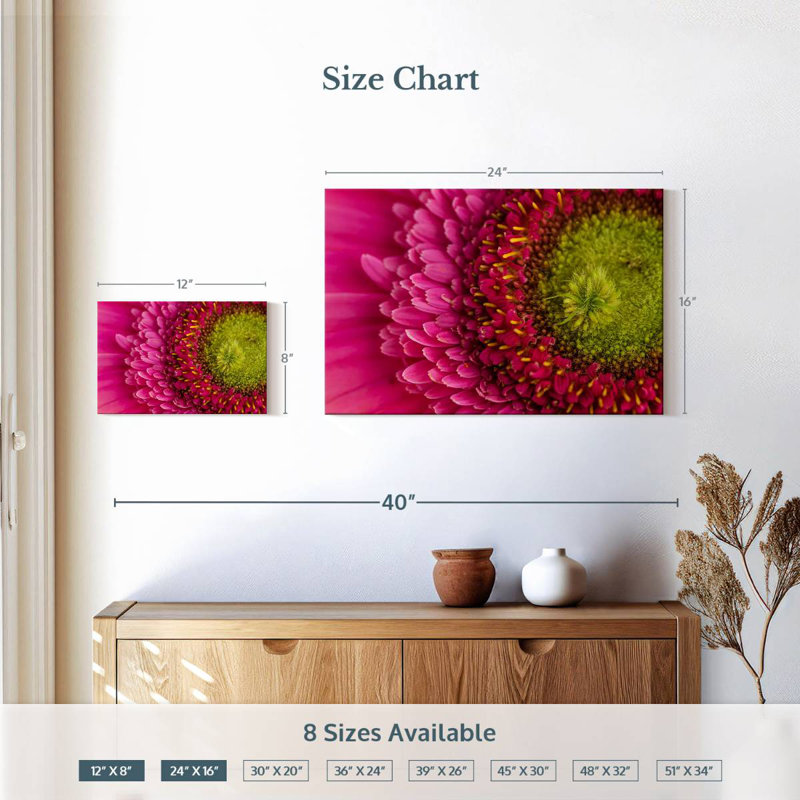 Gerbera magnifiée, H 16 po x l 24 po