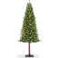 Lighted Artificial Christmas Tree-988993867