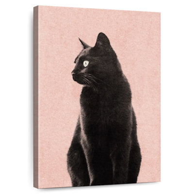 Chat noir Brampt pêche