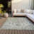 Machine Washable Indoor/Outdoor Jocelyn ACN2138 Global Rug-213103569