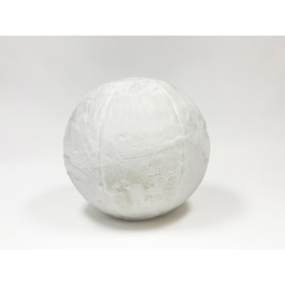 The Plush Balance Ball
