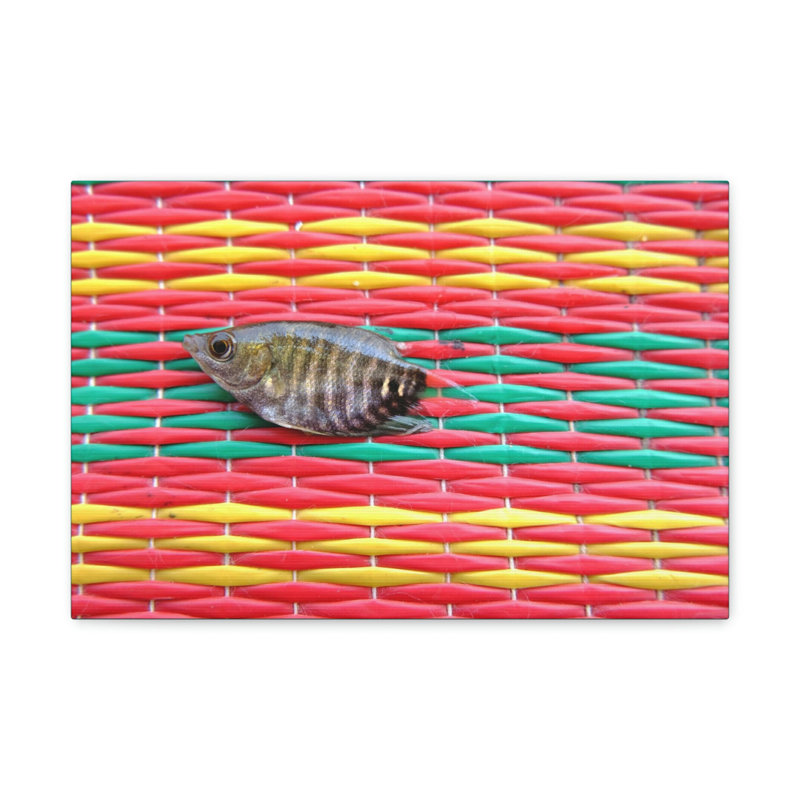 No Frame Print on Canvas, 12cm H x 16cm W