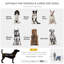 Foldable Pet Stroller-100194629