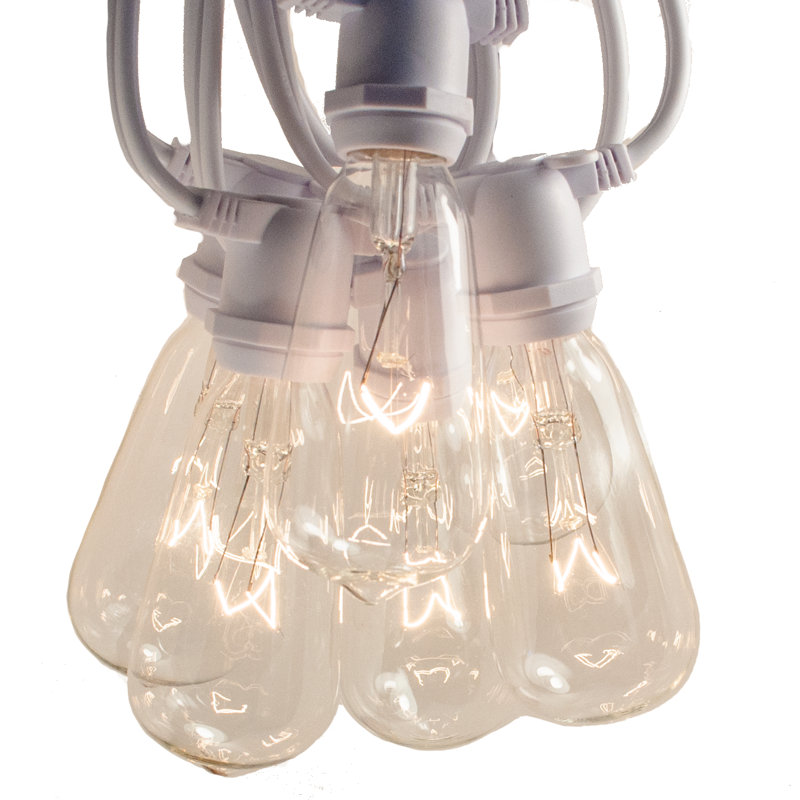 Commercial Edison String Lights Outdoor Plug-in String Light, White, 600" L