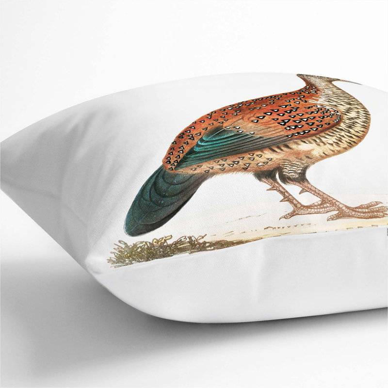 Curria Partridge Illustration Square Throw Cushion, 55cm H x 55cm W x 20cm D, White