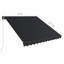 Auvent de terrasse manuel rétractable anthracite-113006870