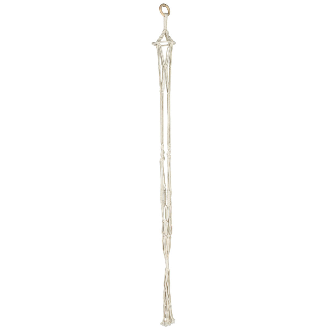 Kelsch Hanging Planter Breakwater Bay