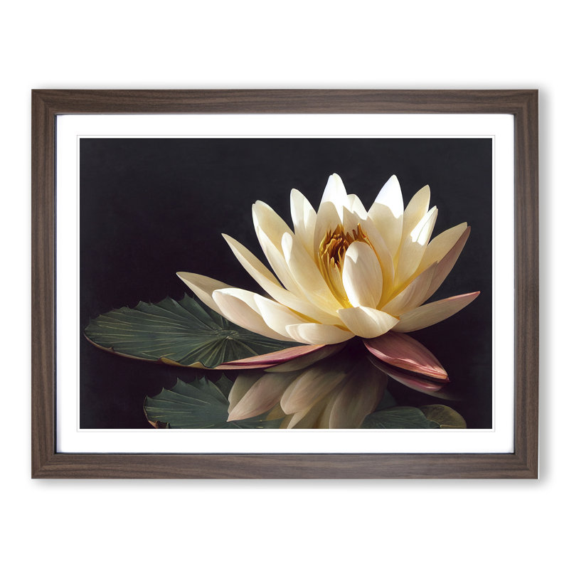 Sparkling Water Lily Flower - Framed Print, 34cm H x 46cm W x 2cm D, Walnut
