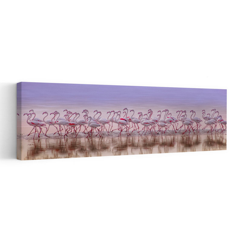 Wading Pink Flamingos by Ahmed Thabet - Wrapped Canvas Panoramic Print, 91.44 cm H x 30.48 cm W