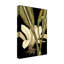 «Tranquil Tropical Leaves V», reproduction d'impression sur toile tendue-33418332
